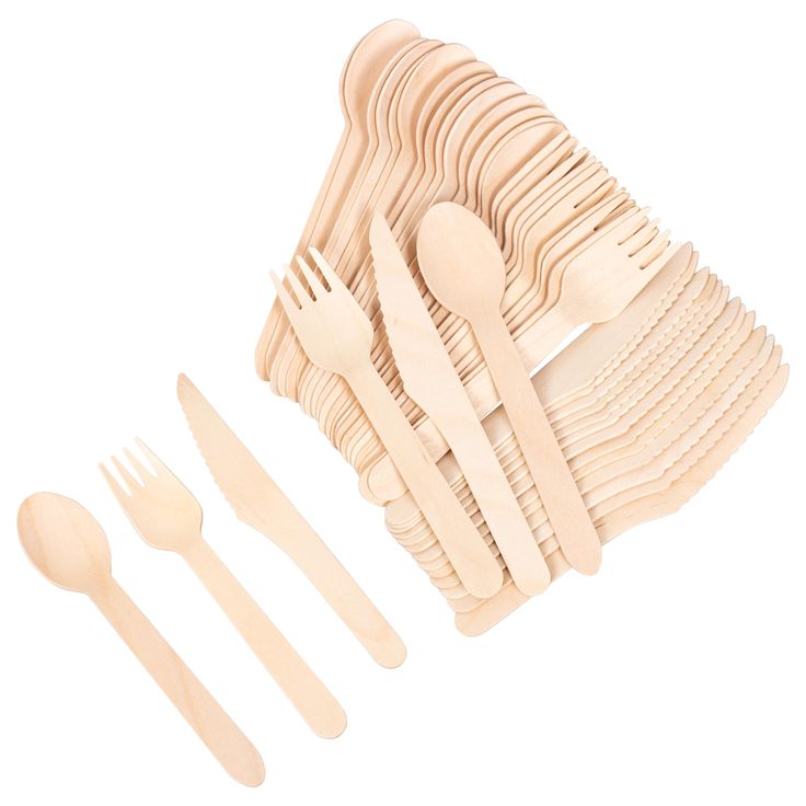 Disposable Tableware 3